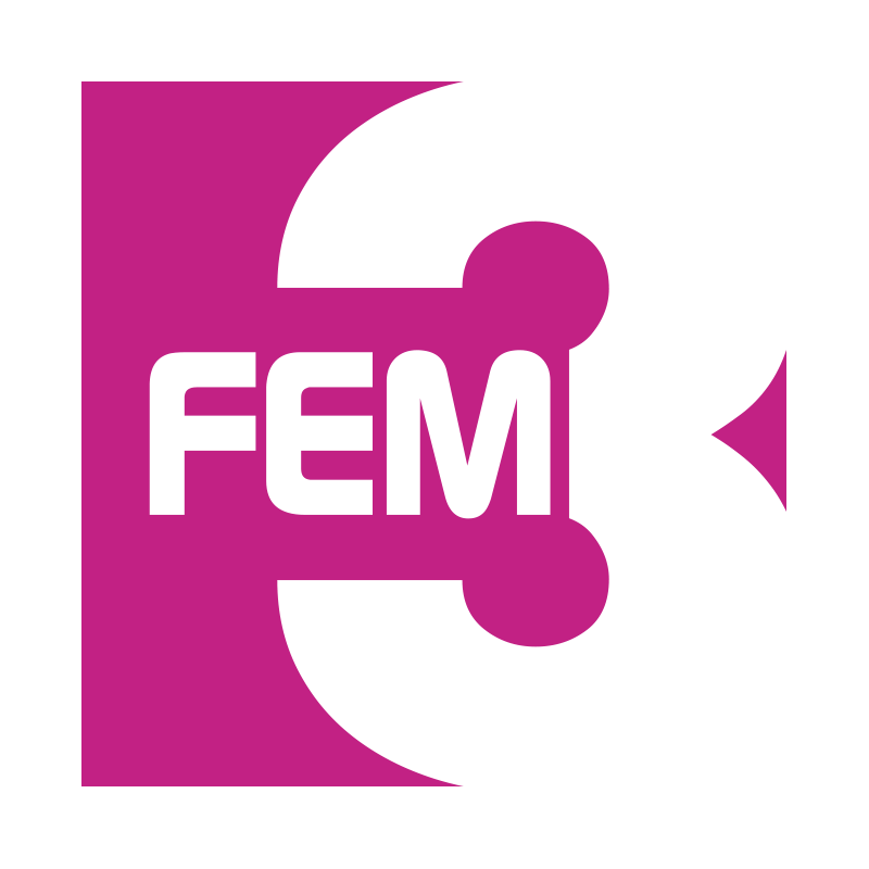 FEM3